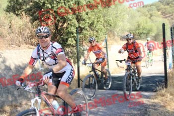 RAFAEL COSCOLLANO LOBO Talajara 2016 4 29478
