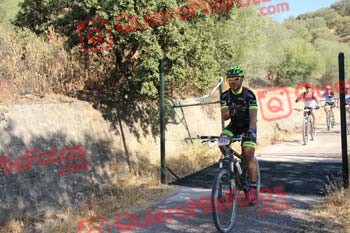 JAIME AMOR VALERO Talajara 2016 4 29482
