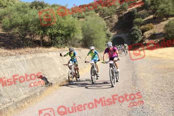 JAVIER PERUGA VALIENTE Talajara 2016 4 29517