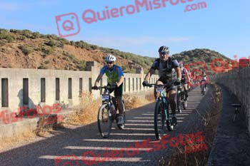 TOMAS GUERRA PELETERO Talajara 2016 4 31150