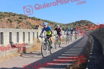 PHIL TALBUTT Talajara 2016 4 31546