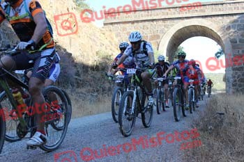 PEDRO MOYANO MARTIN Talajara 2016 3 00927