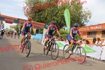 IGNACIO LORO BATANERO Talajara 2017 2 34356