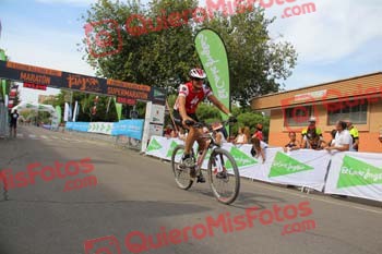 IGNACIO ARRIBAS VIDAL Talajara 2017 2 35061