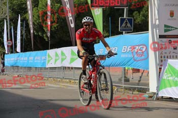MIGUEL CALLEJA DEL AMO Talajara 2017 2 36647