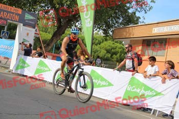 JOSE MARIA CARRILLO DIOS Talajara 2017 2 37815