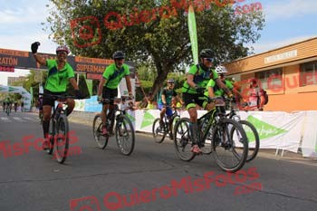 LUIS PALOMEQUE ENGELS Talajara 2017 2 38231