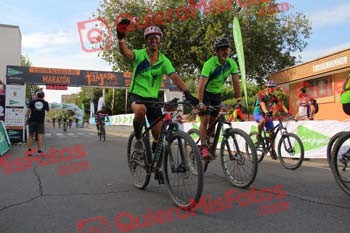LUIS PALOMEQUE ENGELS Talajara 2017 2 38232
