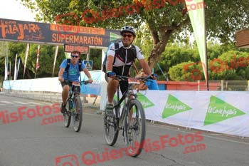 JUAN GUINEA DIAZ Talajara 2017 2 38614