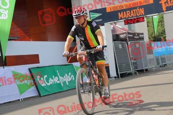 SINDO DIZ LORENZO Talajara 2017 3 23653