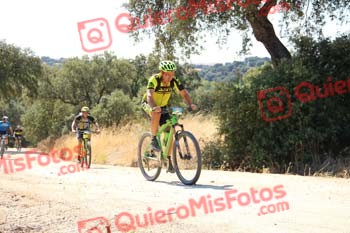 JUAN LUIS MARTIN FLORIDO Talajara 2018 06558