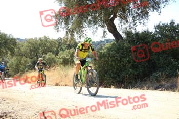 JUAN LUIS MARTIN FLORIDO Talajara 2018 06559