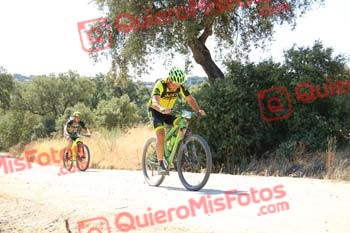 JUAN LUIS MARTIN FLORIDO Talajara 2018 06561