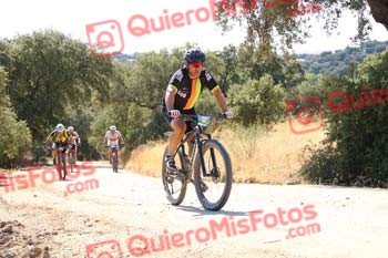 SINDO DIZ LORENZO Talajara 2018 07392