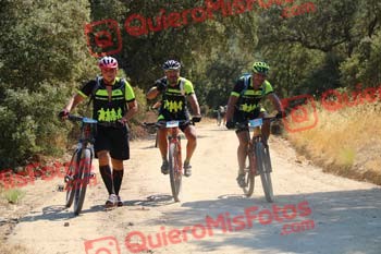 SANTIAGO MERINO BERIHUETE Talajara 2018 10356