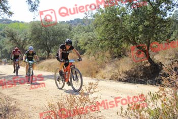 JOSE LUIS MARTIN NEVADO Talajara 2018 12331