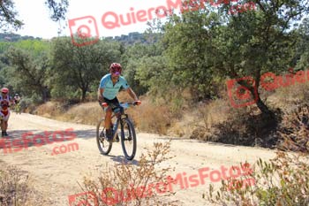JOSE NOVILLO REY Talajara 2018 12410