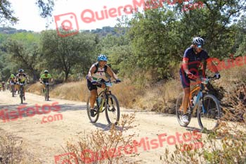 ROBERTO MARTIN VERDE Talajara 2018 12619