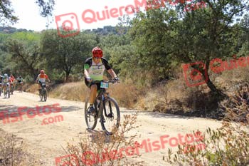 ISMAEL COLETO GARCIA Talajara 2018 13446