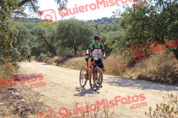 JOSE MARIA NICOLAS GARCIA Talajara 2018 13846
