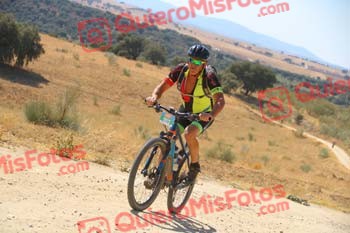 PHIL TALBUTT Talajara 2018 15875