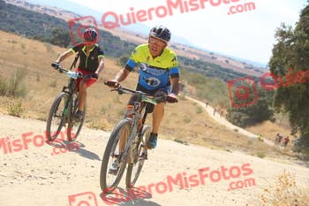RAMON ALCAIDE PRADO Talajara 2018 18152