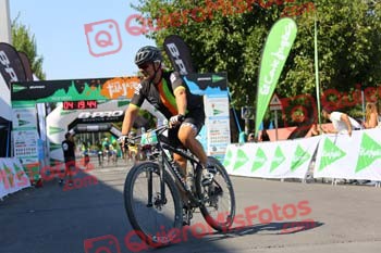 SINDO DIZ LORENZO Talajara 2018 28913
