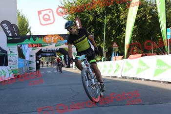 RAUL VICENTE PRIETO Talajara 2018 31559