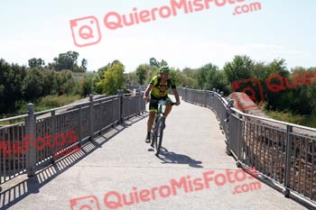 JUAN LUIS MARTIN FLORIDO Talajara 2018 25351