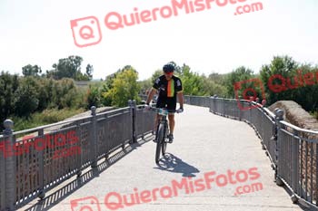 SINDO DIZ LORENZO Talajara 2018 26111