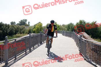 SINDO DIZ LORENZO Talajara 2018 26112