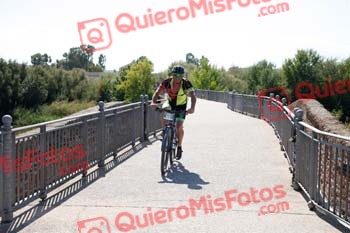 PHIL TALBUTT Talajara 2018 26145