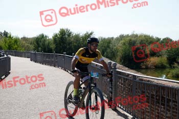 JAVIER SARASA MOLINA Talajara 2018 27589