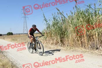 JESUS NIEVES CENCERRADO Talajara 2018 37927