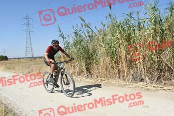 JESUS NIEVES CENCERRADO Talajara 2018 37928