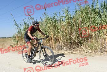 JESUS NIEVES CENCERRADO Talajara 2018 37930