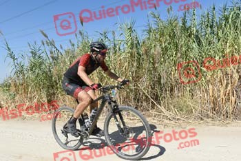 JESUS NIEVES CENCERRADO Talajara 2018 37931