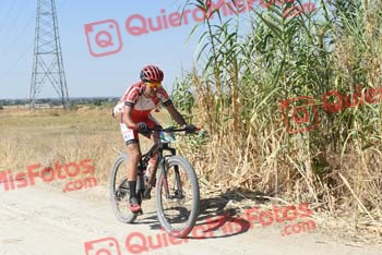 JONATHAN PAZ MADRONO Talajara 2018 37975