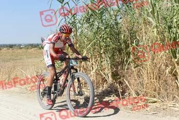 JONATHAN PAZ MADRONO Talajara 2018 37976