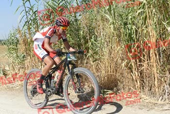 JONATHAN PAZ MADRONO Talajara 2018 37977