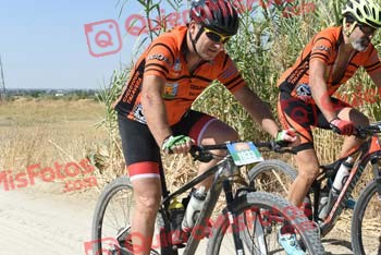 SANTOS TIMONEDA DE CASTRO Talajara 2018 38041