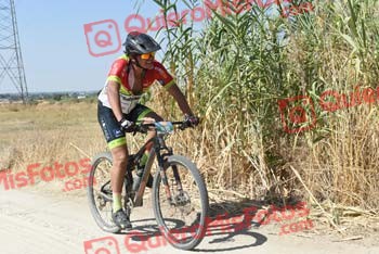 BORJA PALAU DE GIBERT Talajara 2018 38045