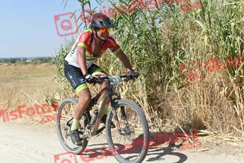 BORJA PALAU DE GIBERT Talajara 2018 38046