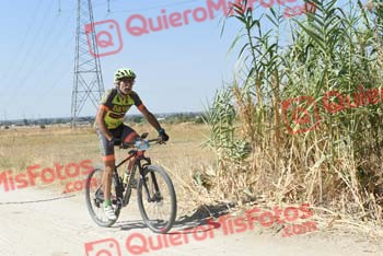 LUIS MIGUEL SANCHEZ GARCIA Talajara 2018 38306