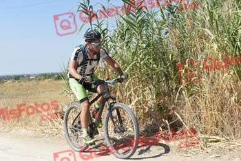 MARIO ACEITUNO ROSADO Talajara 2018 38569