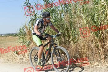 MARIO ACEITUNO ROSADO Talajara 2018 38570