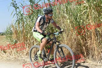 MARIO ACEITUNO ROSADO Talajara 2018 38571
