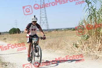SALVADOR MARTIN GUTIERREZ Talajara 2018 38679