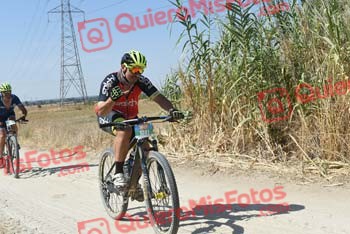 VICTOR NAVARRO Talajara 2018 39005
