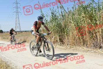 ANDREW LAINE Talajara 2018 39234